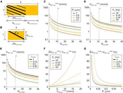 Measurement of Blood Velocity With Laser Scanning Microscopy: Modeling and Comparison of Line-Scan Image-Processing Algorithms